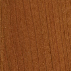 524 Вишня Моргана