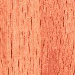 1367 N Бук Венеция