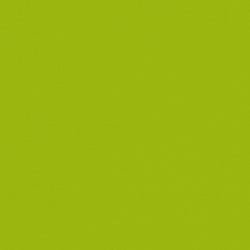 -желтый лайм LM 0016