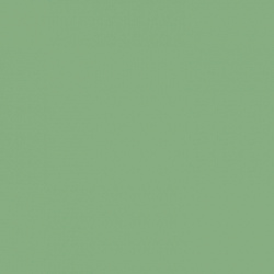 2732 Зеленый чай