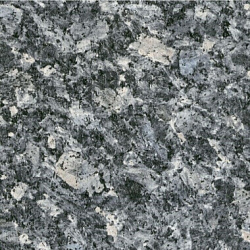 708 Лабрадор