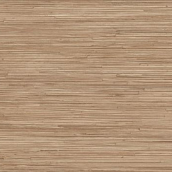 3521 S Тростник морской